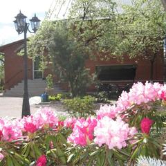 Гостевой дом Волшебный сад, Суздаль, Владимирская область