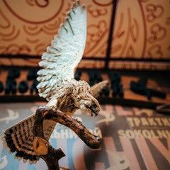 Гостиница Сокол, Суздаль, Владимирская область