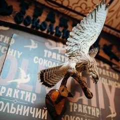 Гостиница Сокол, Суздаль, Владимирская область