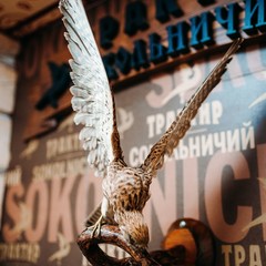 Гостиница Сокол, Суздаль, Владимирская область