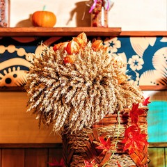 Гостиница Сокол, Суздаль, Владимирская область