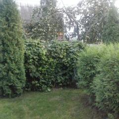 Вилла Васильевский дворик, Суздаль, Владимирская область