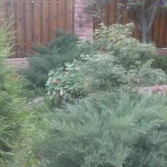 Вилла Васильевский дворик, Суздаль, Владимирская область