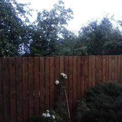 Вилла Васильевский дворик, Суздаль, Владимирская область