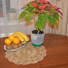 Гостевой дом Витальница, Суздаль, Владимирская область