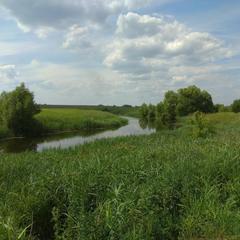 Гостевой дом Волна, Суздаль, Владимирская область