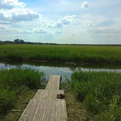 Гостевой дом Волна, Суздаль, Владимирская область