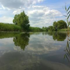 Гостевой дом Волна, Суздаль, Владимирская область