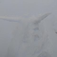 Гостевой дом Волна, Суздаль, Владимирская область