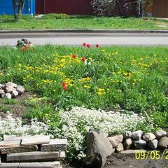 Гостевой дом Валентайн, Суздаль, Владимирская область