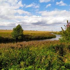 Гостевой дом Волна, Суздаль, Владимирская область