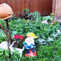 Гостевой дом Витальница, Суздаль, Владимирская область