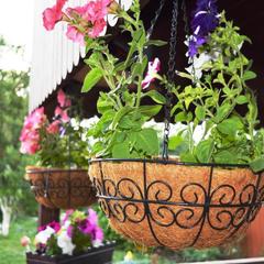 Гостевой дом Витальница, Суздаль, Владимирская область