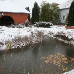 Гостевой дом Трактир у Прокопа, Суздаль, Владимирская область