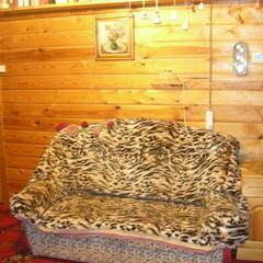 Апартаменты У Ивановской, Суздаль, Владимирская область