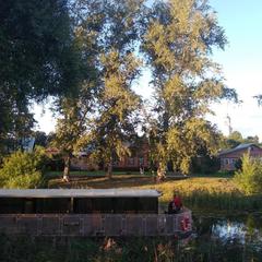 Гостевой дом У Елены, Суздаль, Владимирская область