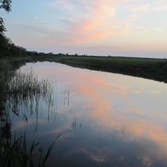 Гостевой дом 44, Суздаль, Владимирская область