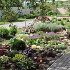 Отель У башни, Суздаль, Владимирская область