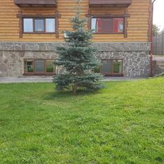 Гостевой дом 44, Суздаль, Владимирская область