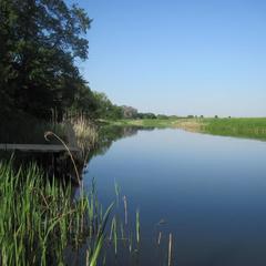 Гостевой дом 44, Суздаль, Владимирская область
