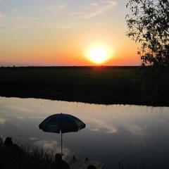 Гостевой дом 44, Суздаль, Владимирская область