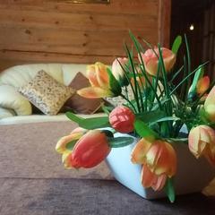 Отель Уютный теплый дом, Суздаль, Владимирская область