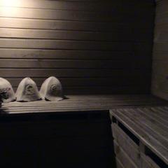 Гостевой дом с баней в Суздале, Суздаль, Владимирская область