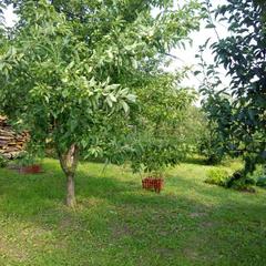 Гостевой дом На Покровской 20, Суздаль, Владимирская область