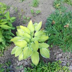 Гостевой дом На Покровской 20, Суздаль, Владимирская область