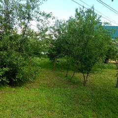 Гостевой дом На Покровской 20, Суздаль, Владимирская область