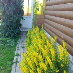 Гостевой дом На Покровской 20, Суздаль, Владимирская область