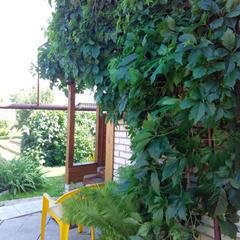 Гостевой дом На Покровской 20, Суздаль, Владимирская область