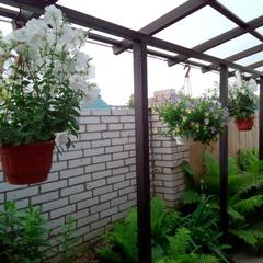 Гостевой дом На Покровской 20, Суздаль, Владимирская область