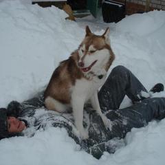Гостевой дом Сказка, Суздаль, Владимирская область