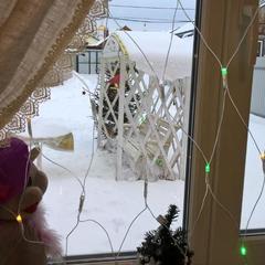 Гостевой дом Сказка, Суздаль, Владимирская область