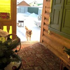 Гостевой дом Сказка, Суздаль, Владимирская область