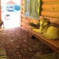 Гостевой дом Сказка, Суздаль, Владимирская область