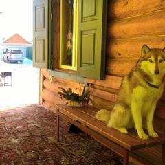 Гостевой дом Сказка, Суздаль, Владимирская область