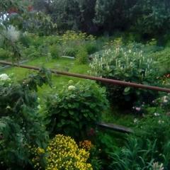 Гостевой дом Надежда, Суздаль, Владимирская область