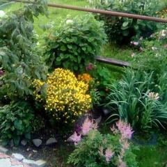 Гостевой дом Надежда, Суздаль, Владимирская область