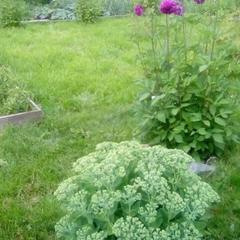 Гостевой дом Надежда, Суздаль, Владимирская область