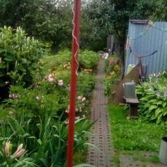 Гостевой дом Надежда, Суздаль, Владимирская область