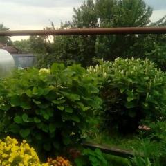 Гостевой дом Надежда, Суздаль, Владимирская область