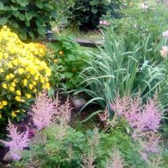 Гостевой дом Надежда, Суздаль, Владимирская область