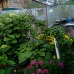 Гостевой дом Надежда, Суздаль, Владимирская область