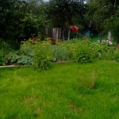 Гостевой дом Надежда, Суздаль, Владимирская область