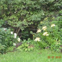 Гостевой дом Маришкин дом, Суздаль, Владимирская область