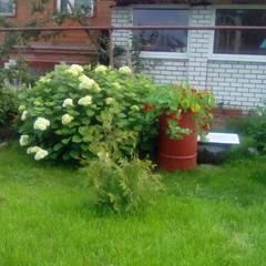 Гостевой дом Надежда, Суздаль, Владимирская область