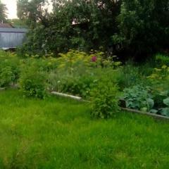 Гостевой дом Надежда, Суздаль, Владимирская область