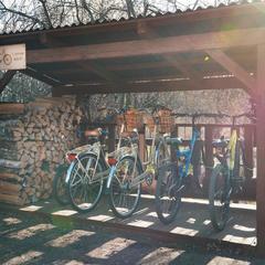 Гостевой дом Онегин, Суздаль, Владимирская область